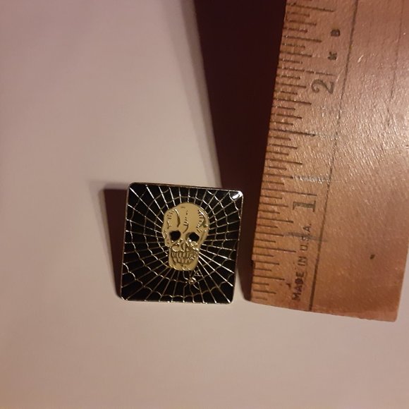 1" Black Back Spiderweb with Skull Spider - Picture 4 of 5